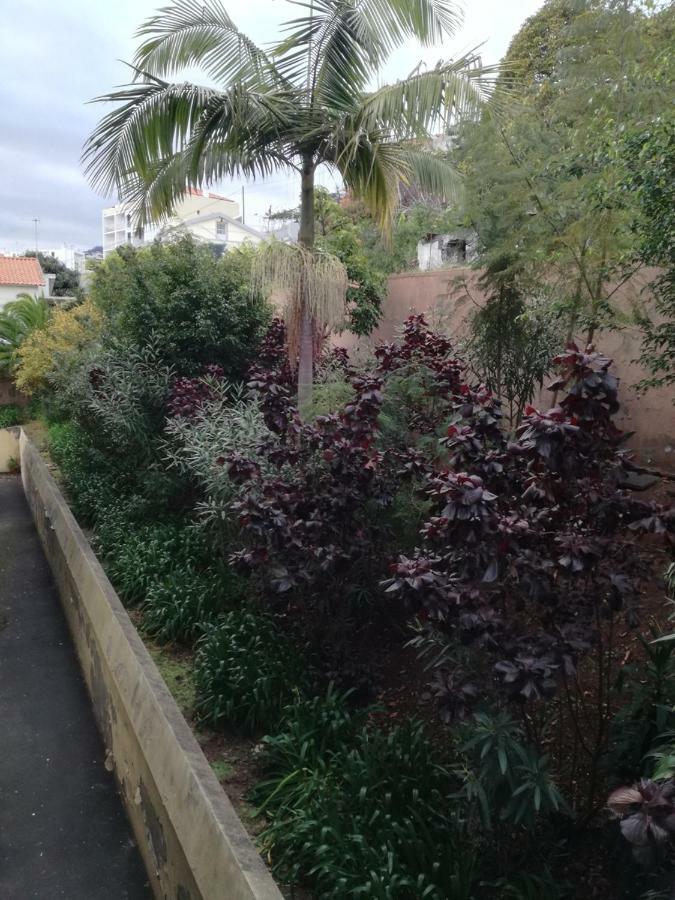 Madeira Funchal Gardens Apartment ภายนอก รูปภาพ