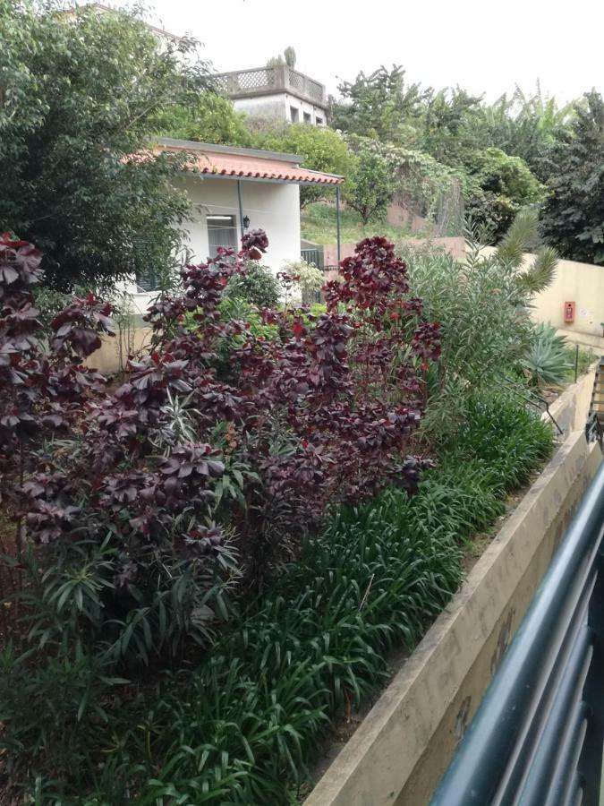 Madeira Funchal Gardens Apartment ภายนอก รูปภาพ